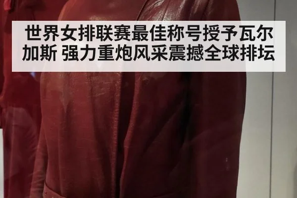 世界女排联赛最佳称号授予瓦尔加斯 强力重炮风采震撼全球排坛